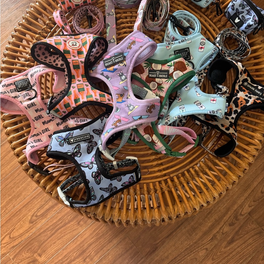 Dog Harness, leash & poop bag lot: Beast & Buckle Sassy Woof Frenchie